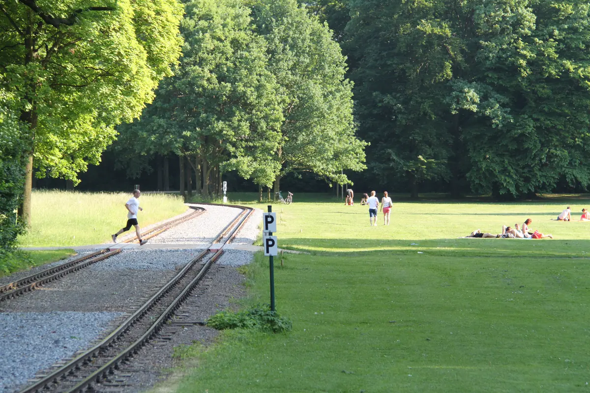 A runner on a path beside grass and trees in a park