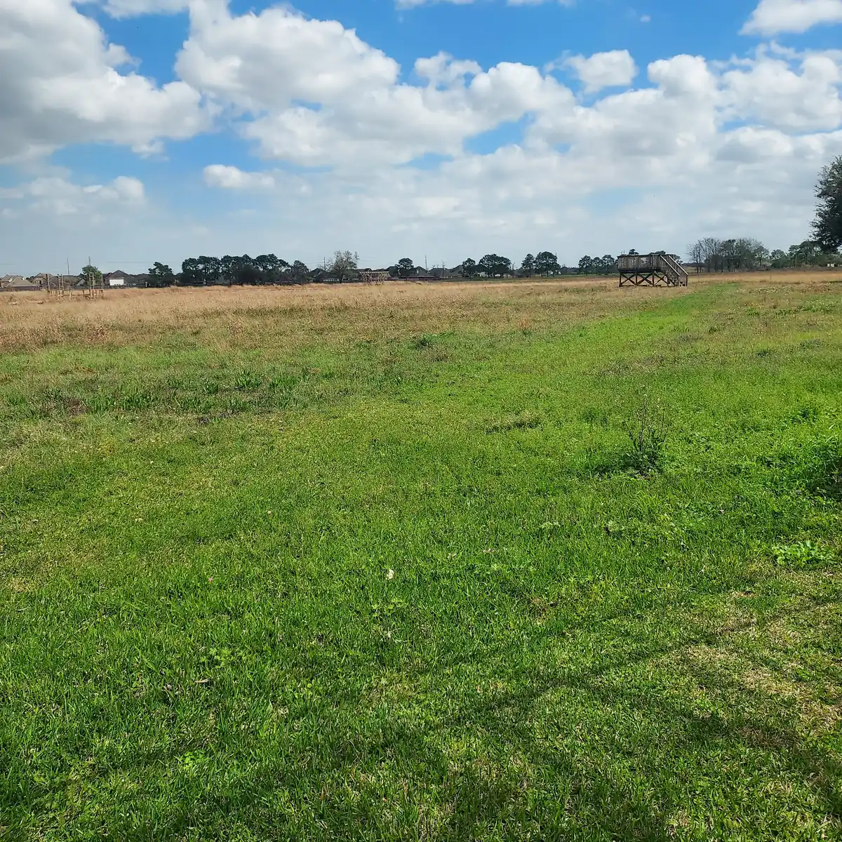 A grass path across open ground under a bright sky